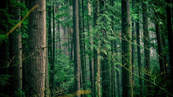 Ympäristövastuullisuus